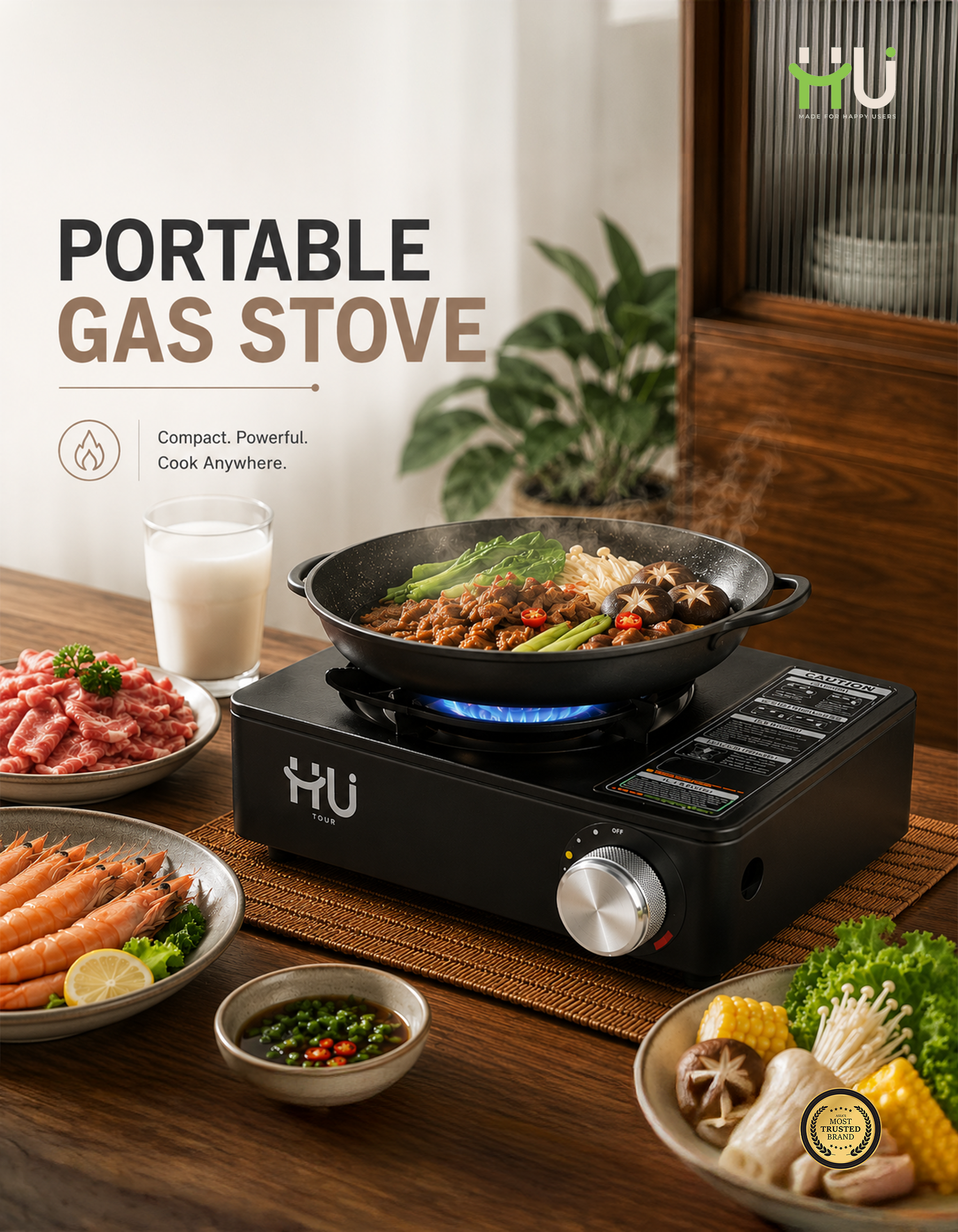 Portable Gas Stove