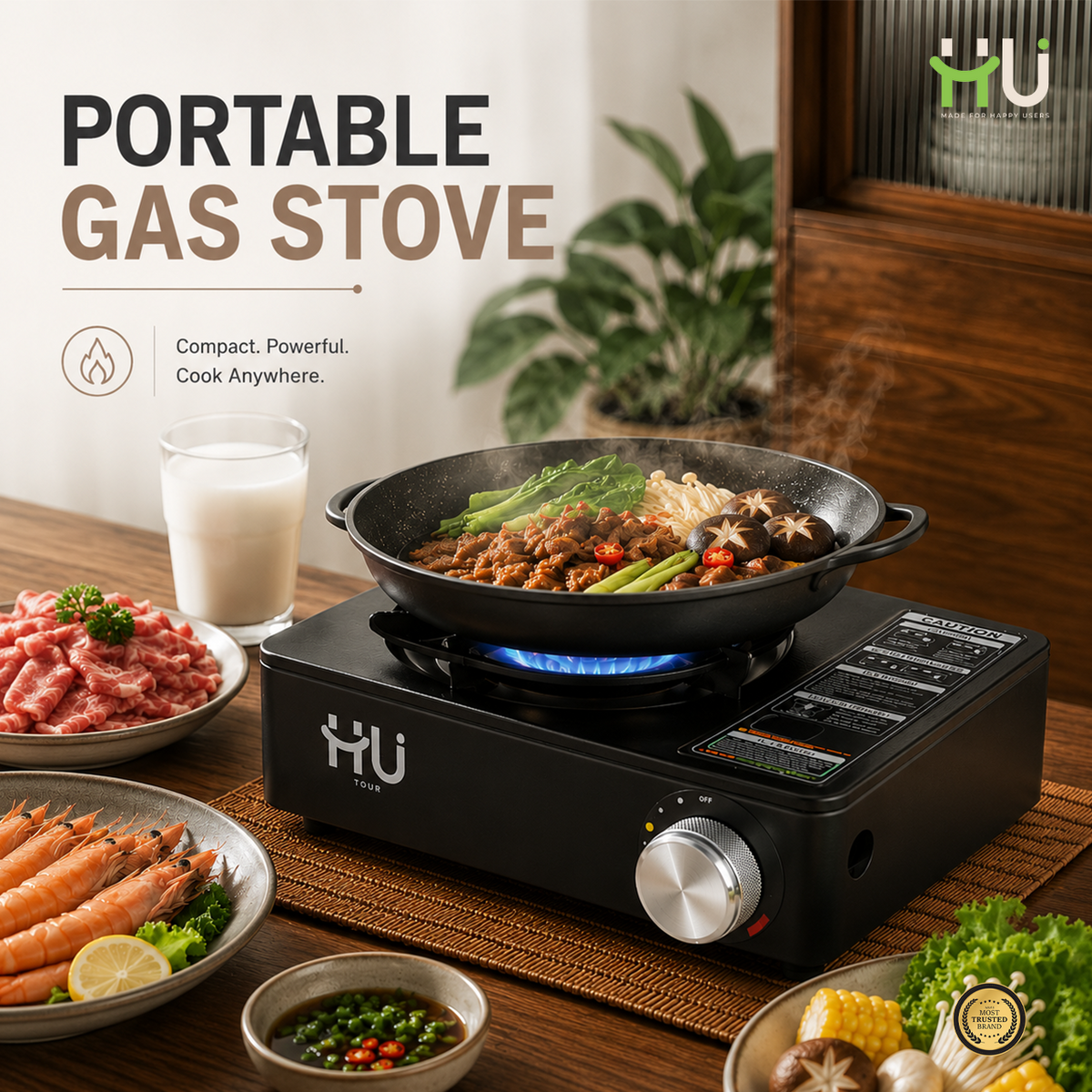 Portable Gas Stove