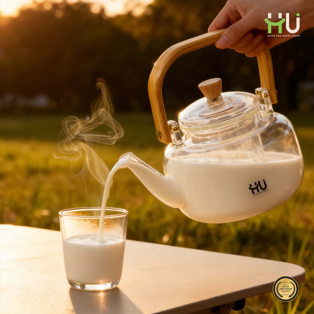 Heat Resistant Glass Tea Kettle with Copper Handle